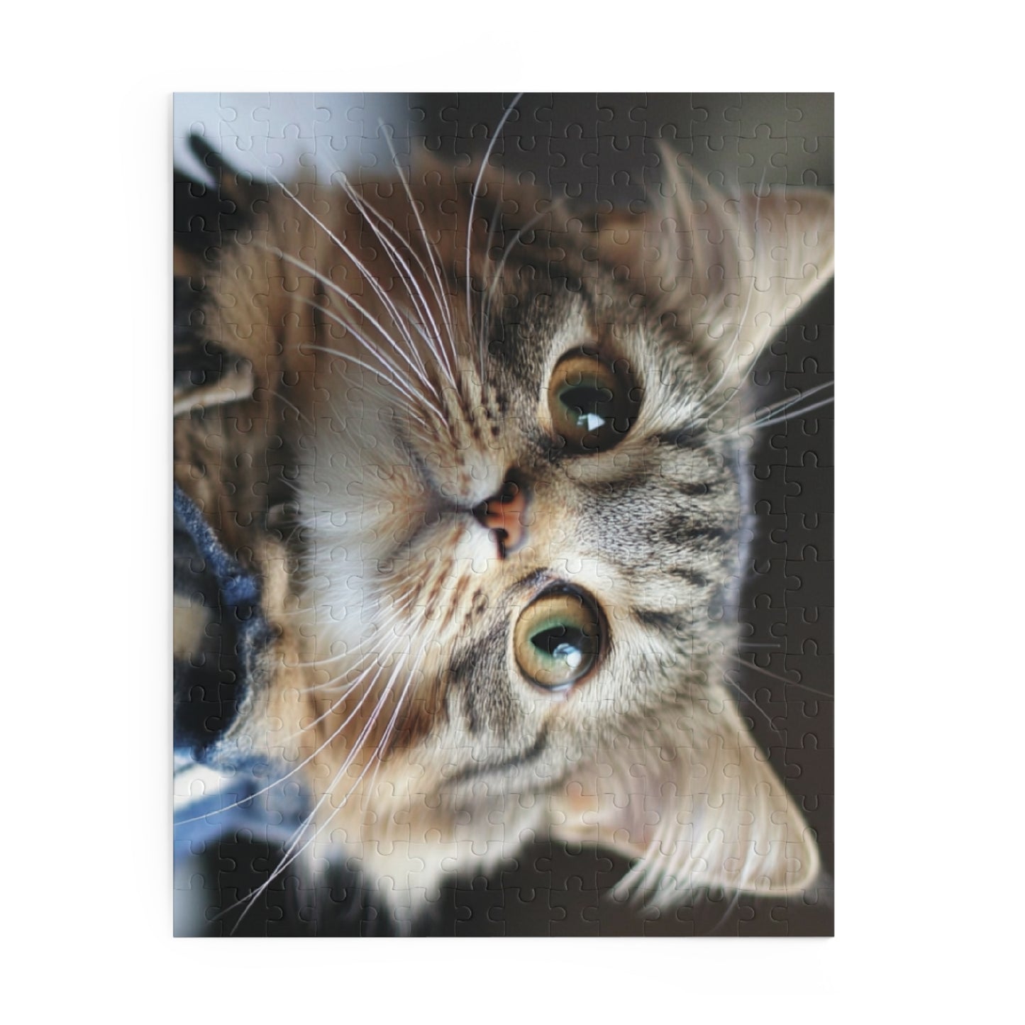 Cute Cat Puzzle - 120, 252 & 500-Piece Options
