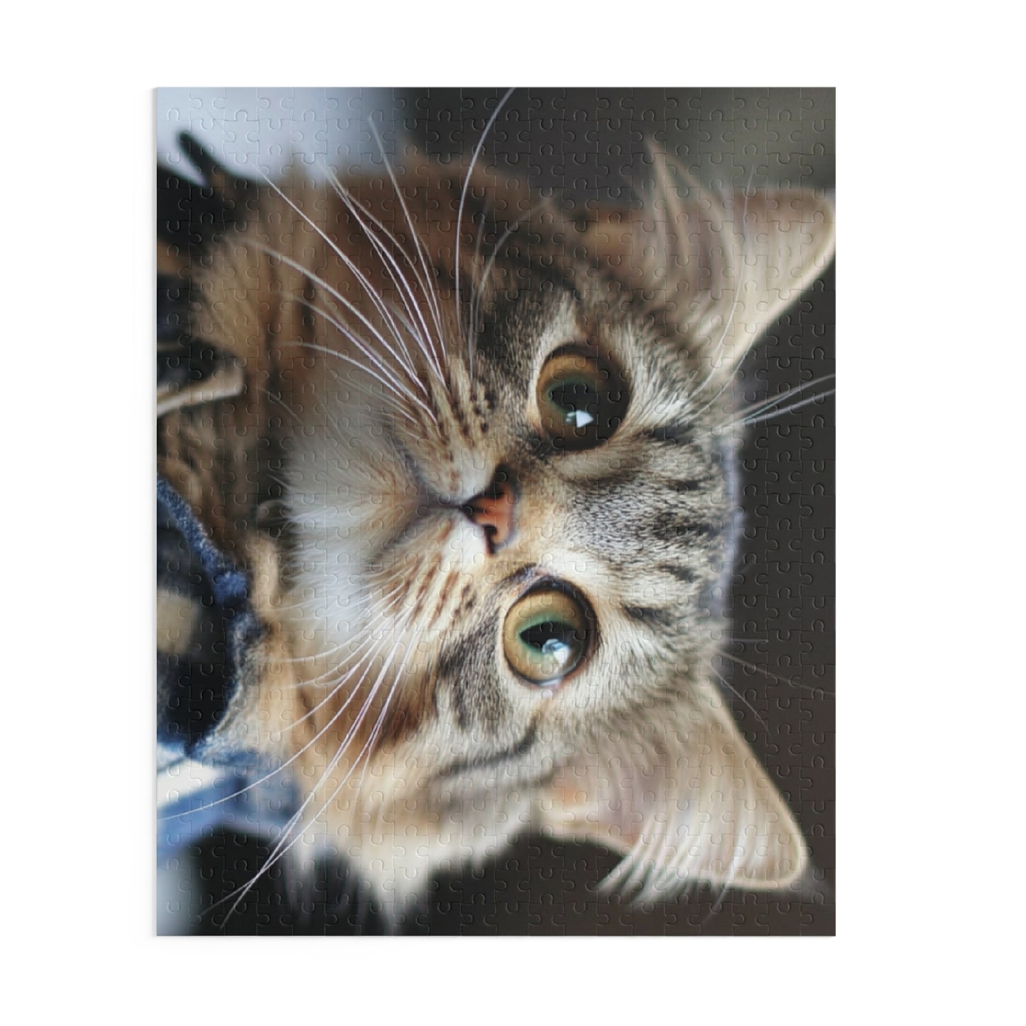 Cute Cat Puzzle - 120, 252 & 500-Piece Options